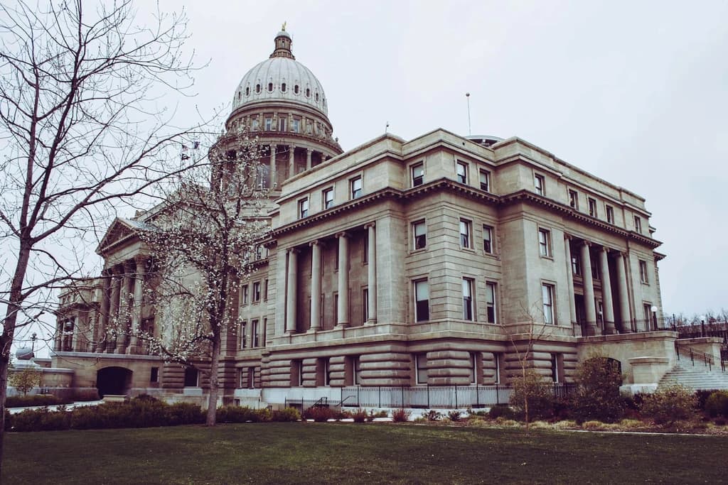 Strategic Consulting & Government Program Support